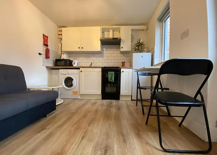 Promo Modern 1-Bedroom Flat Near Crokepark And Citycentre