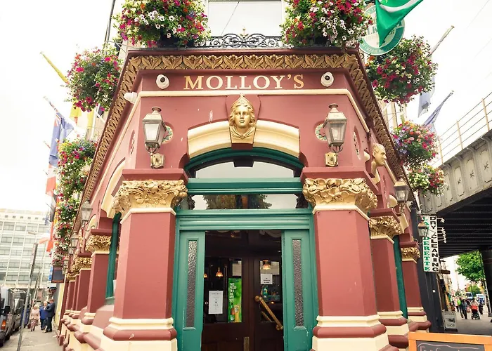 Molloys Apartments