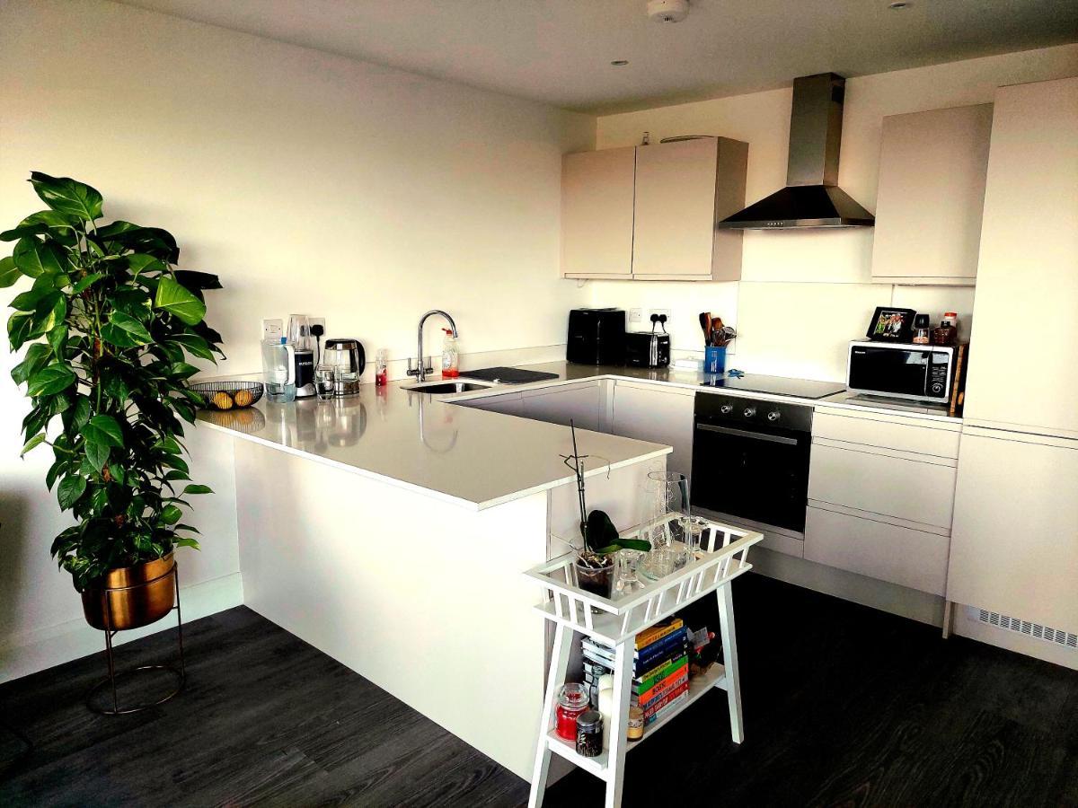 Accommodatie bij particulieren The Griffin *