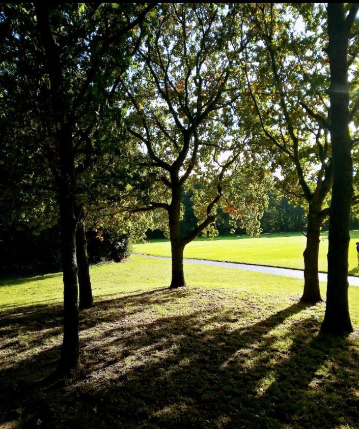 Double Homestay Dublin