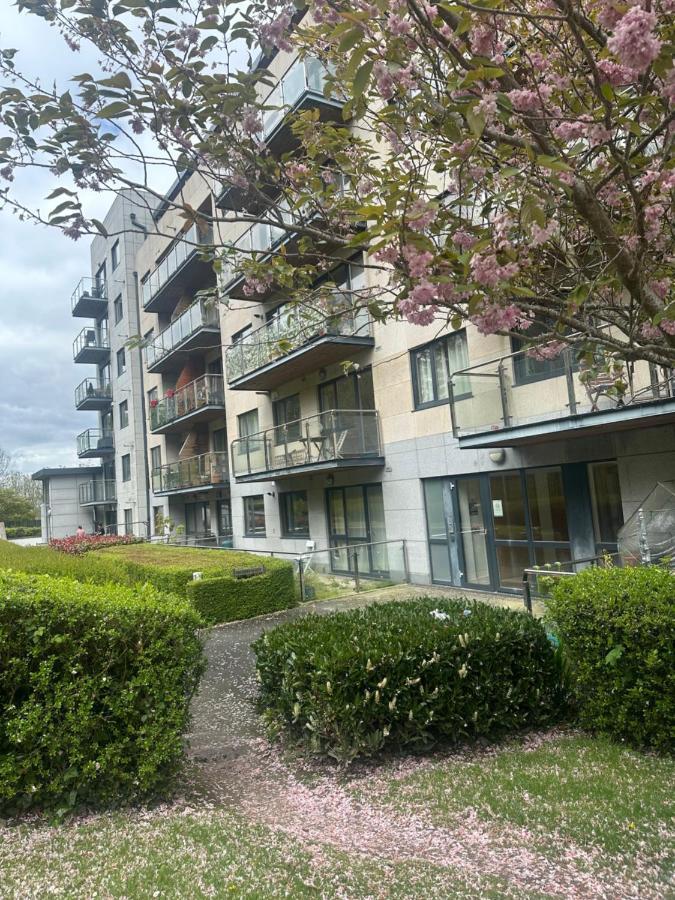 Spacious With Relaxing View * Dublin