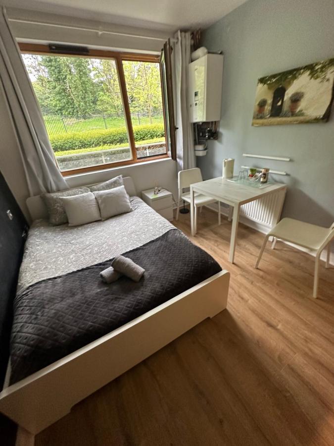 Spacious With Relaxing View Homestay