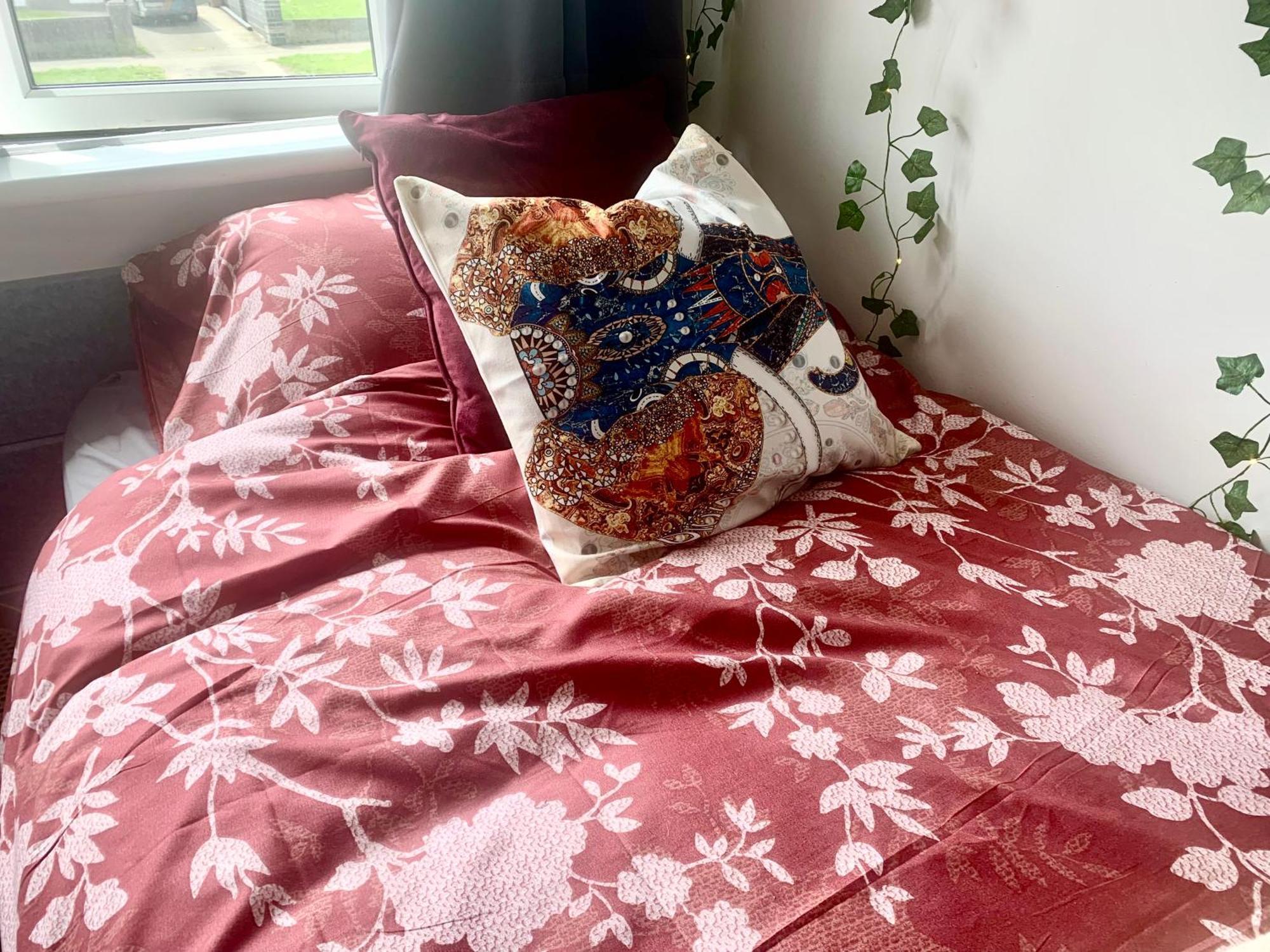 Homestay Large In Excellent Location Double Or Two Singles Dublin