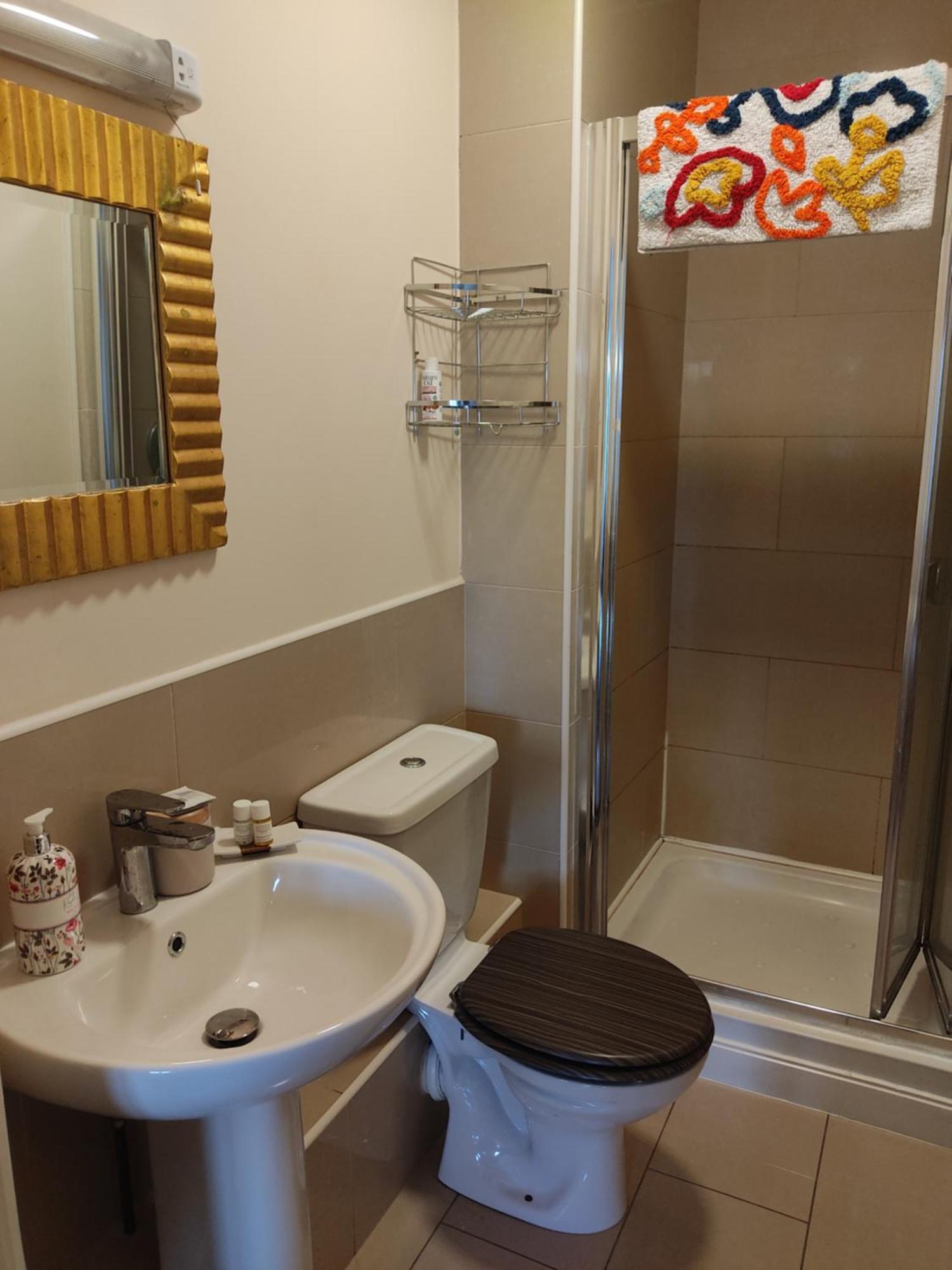 Swallows Nest - Spacious Bright Double Bedroom With Ensuite Bathroom Privatunterkunft Dublin