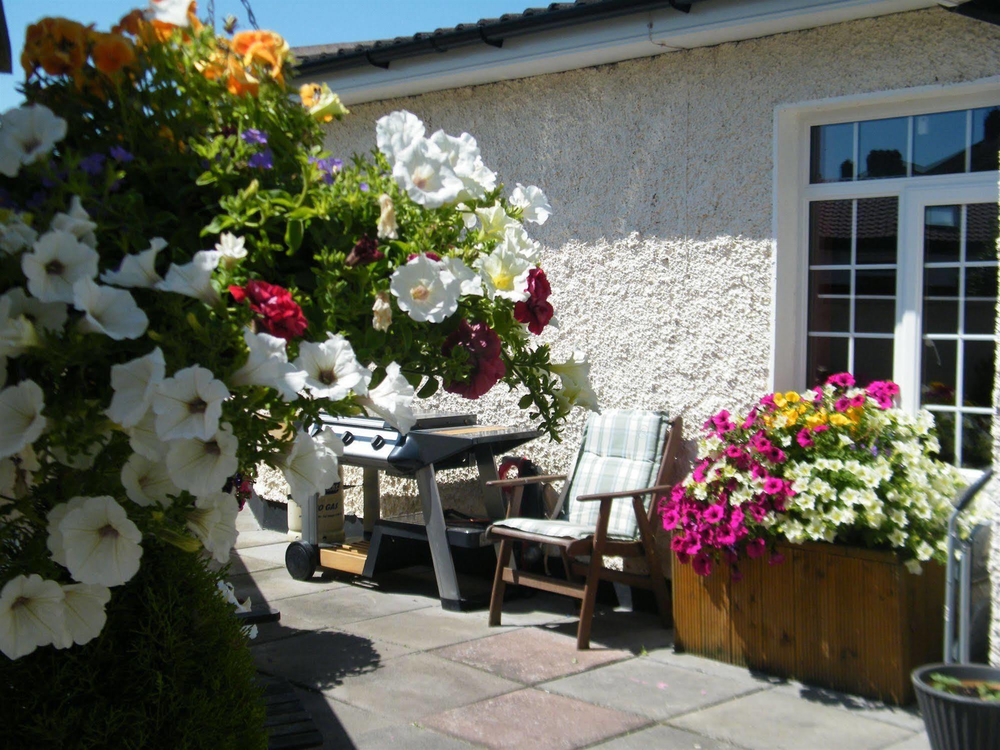 Almanii Bed & Breakfast