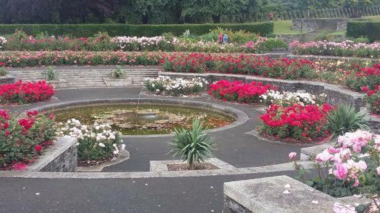 Homestay Bellevue Dublin
