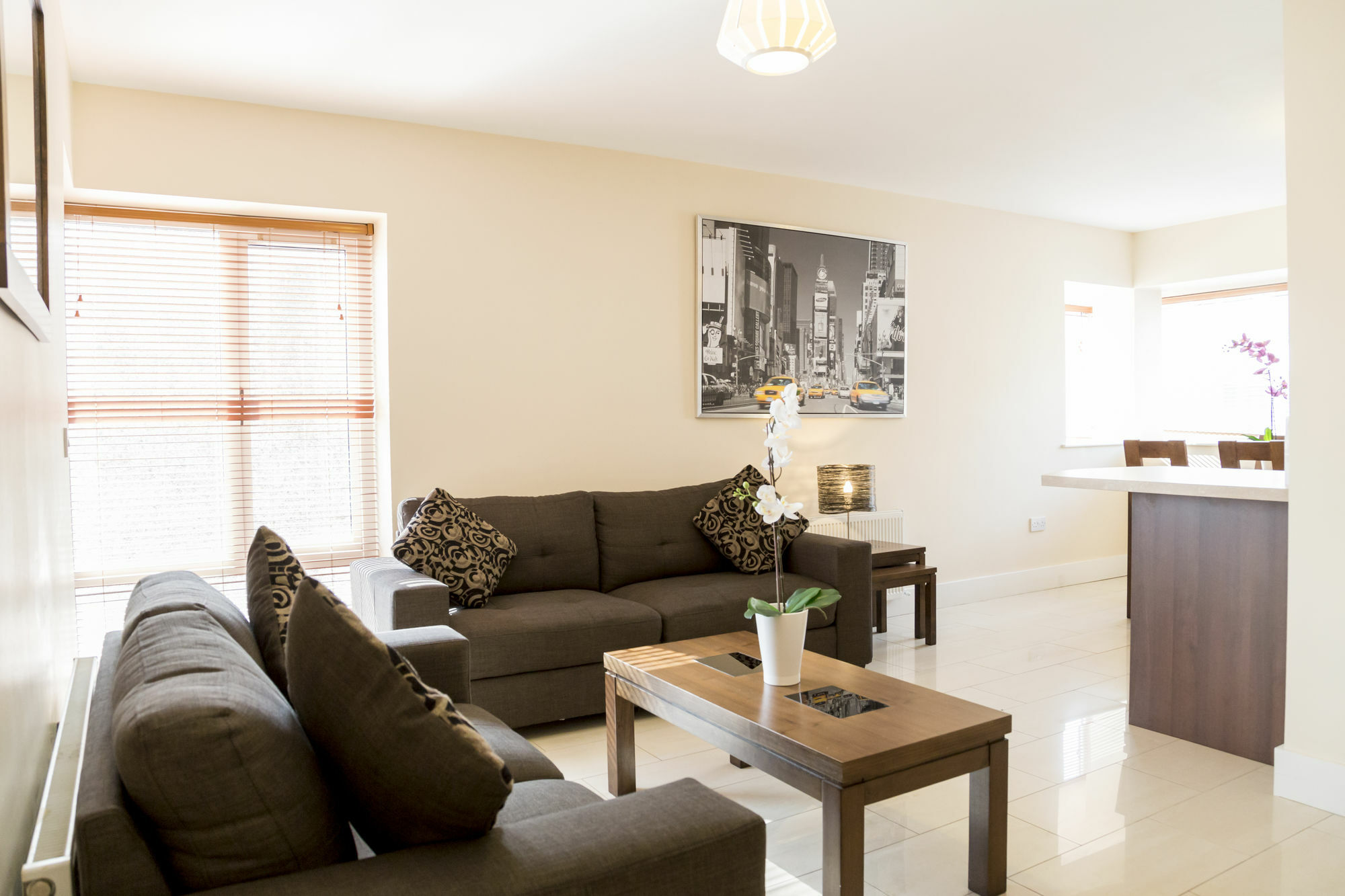 Pearse Street Apartment