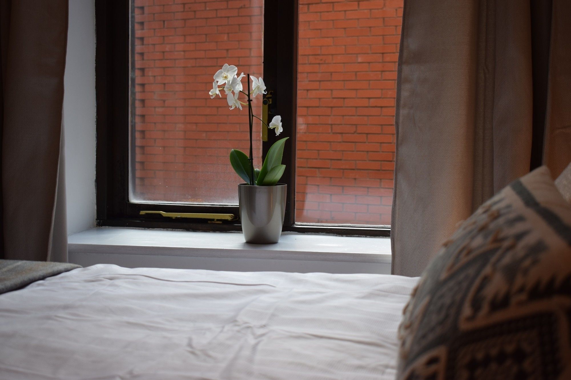 1 Bedroom In