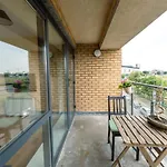 Bright View