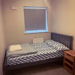Private Cozy Rooms In Dublin