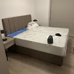 The Peace