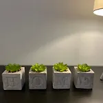 Conveniently Located, 2 Bedroom Modern Apartment