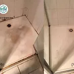 Shiny House