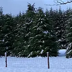 Willow Lodge
