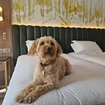 Hilton Dublin Kilmainham