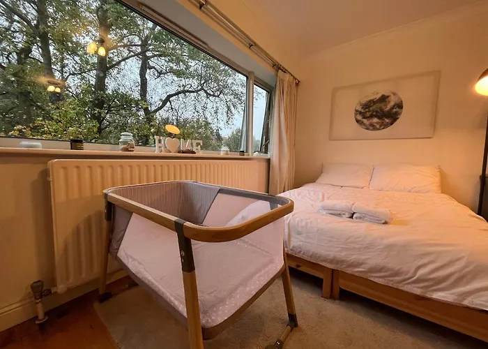 Peaceful Studio Apt W/2 Beds