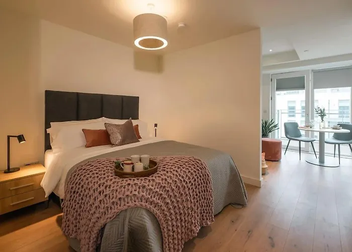 Large Luxurious Studio In Dublin 18
