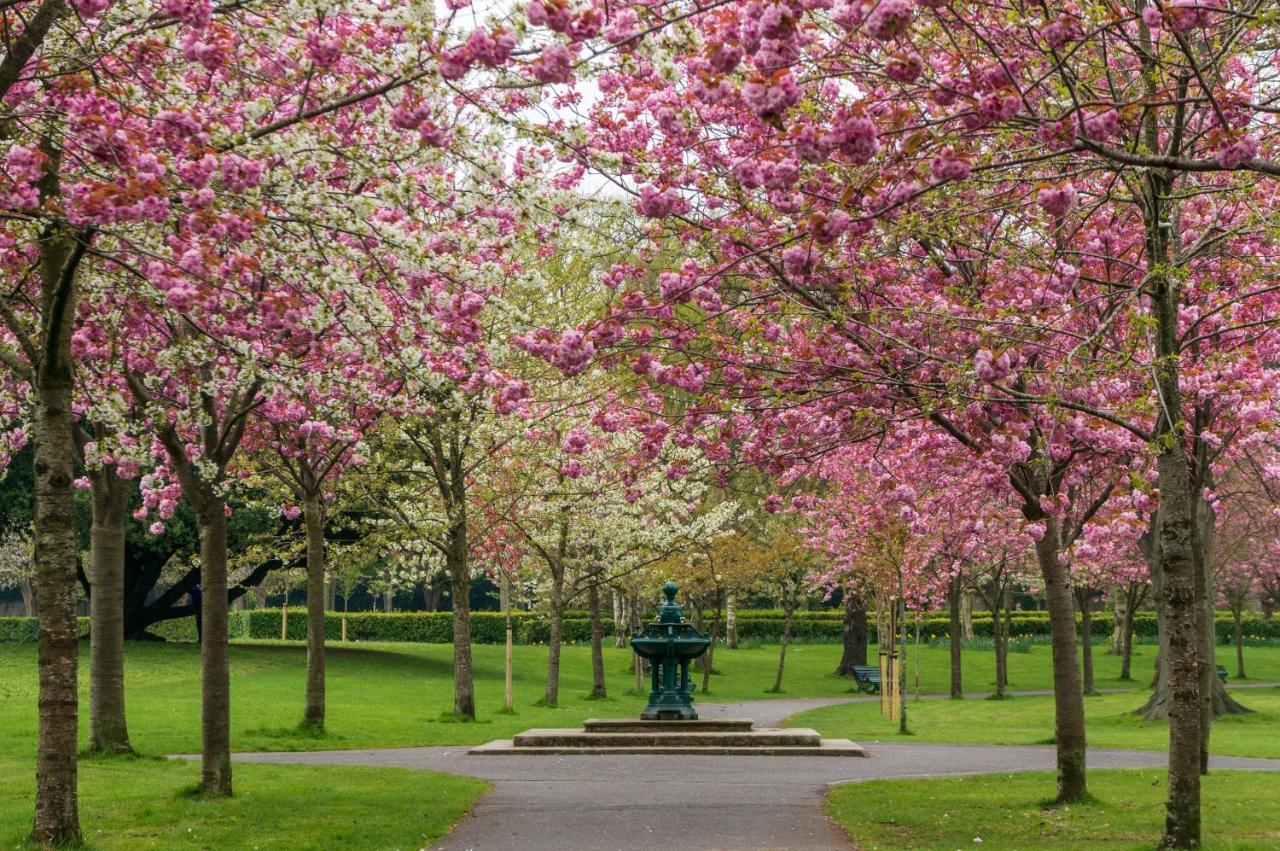Hotel Park At Herbert Park 4*