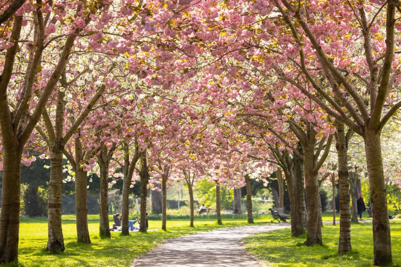 Herbert Park Hotel&park