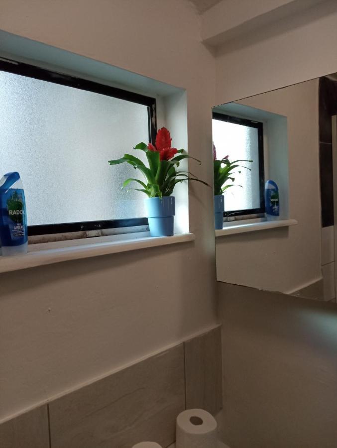 Jacuzzi Jungle Centre Appartement