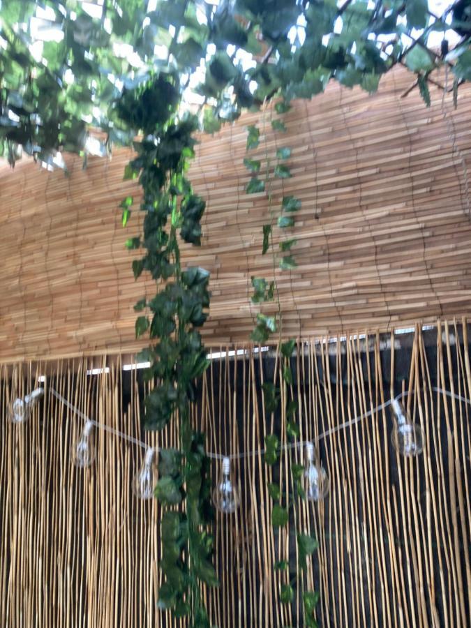 Appartement Jacuzzi Jungle Centre Dublin