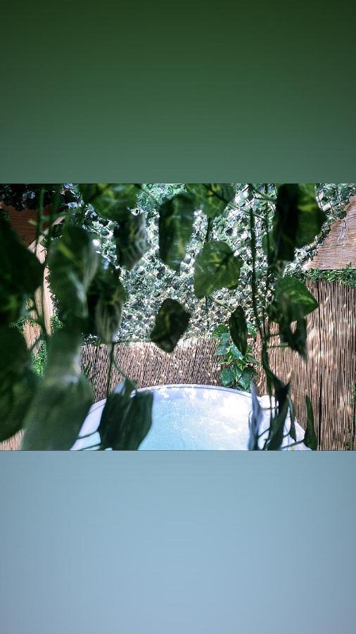 Jacuzzi Jungle Centre Appartement