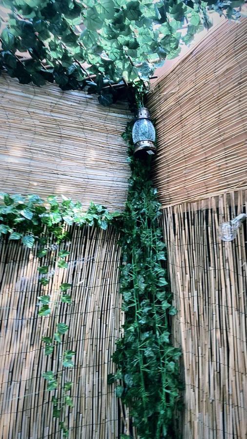 Jacuzzi Jungle Centre Appartement *