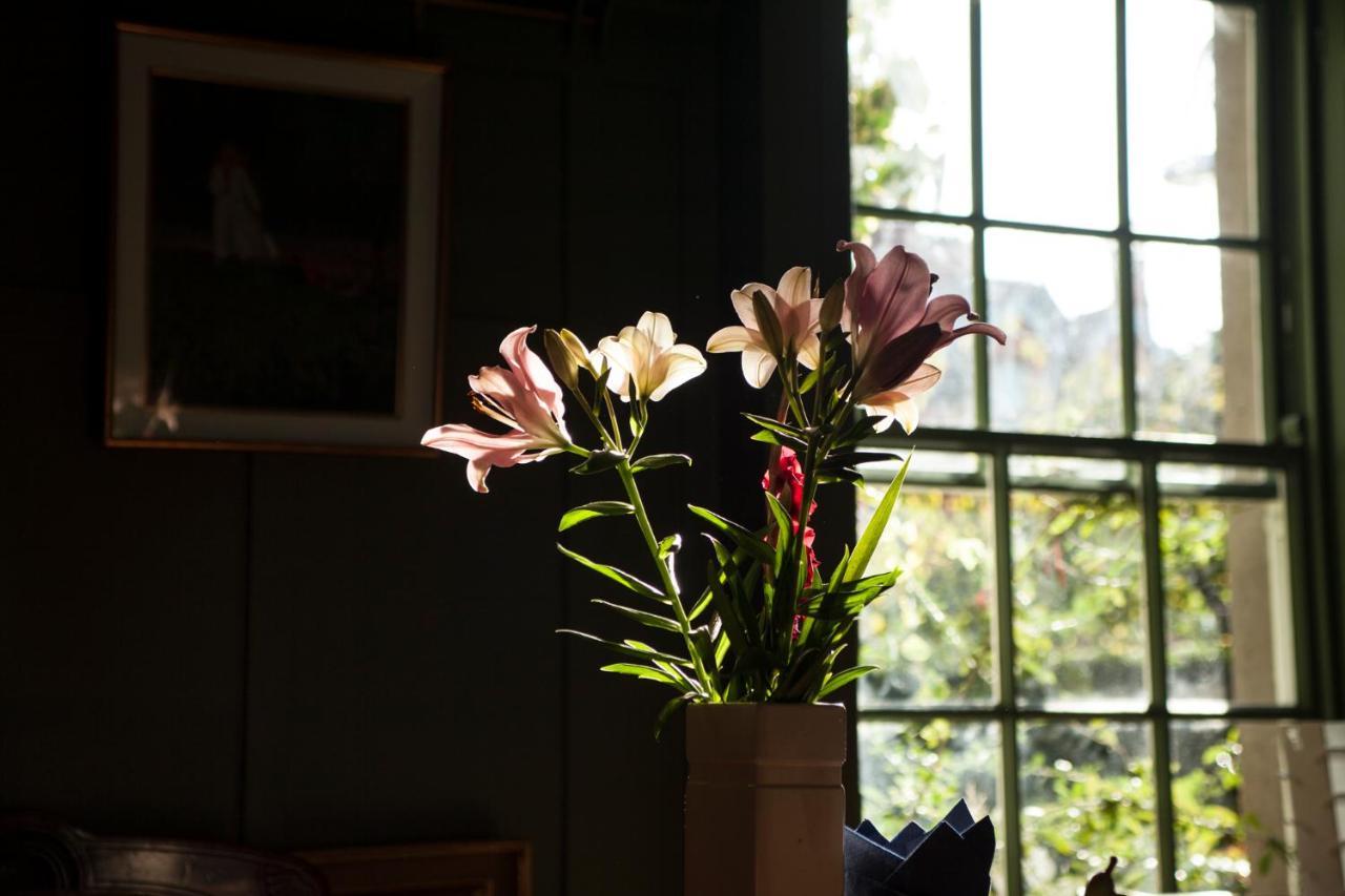 Guest house The Historical Harcourt Dublin