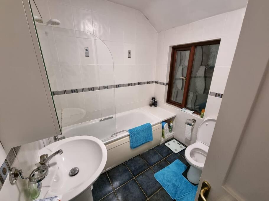 Ferienhaus Entire House With Parking, Centrally Located & Close To Aviva Stadium Dublin