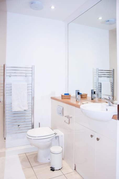 Apartment 2 Bed 2 Bath With Canal View Dublin