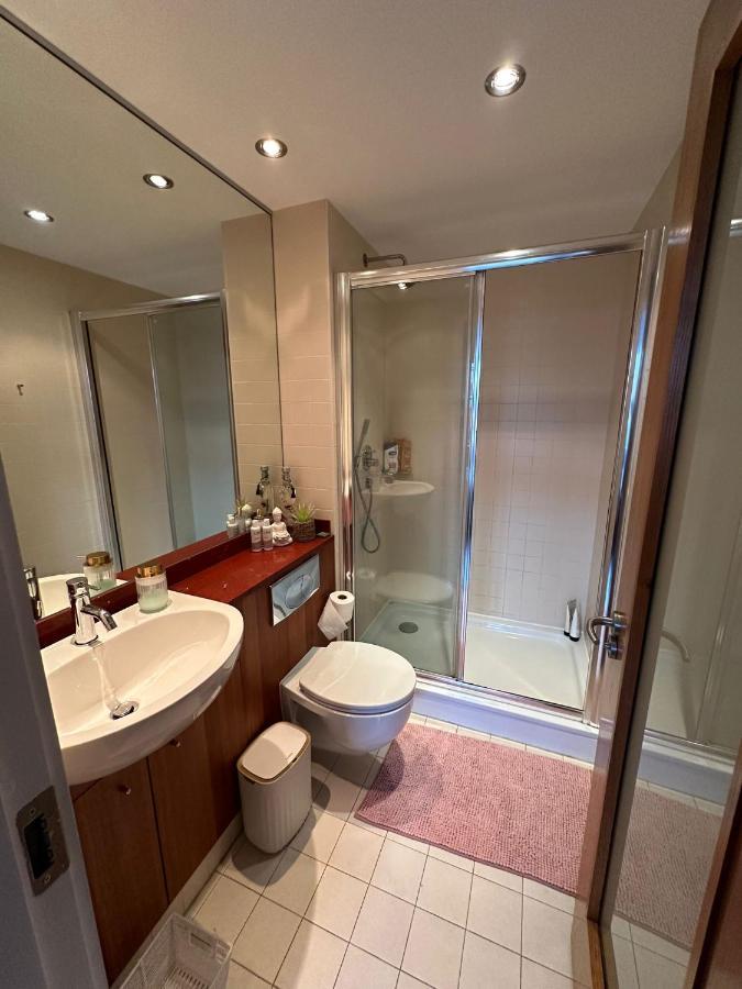 Stunning In Grand Canal Apartment Dublin