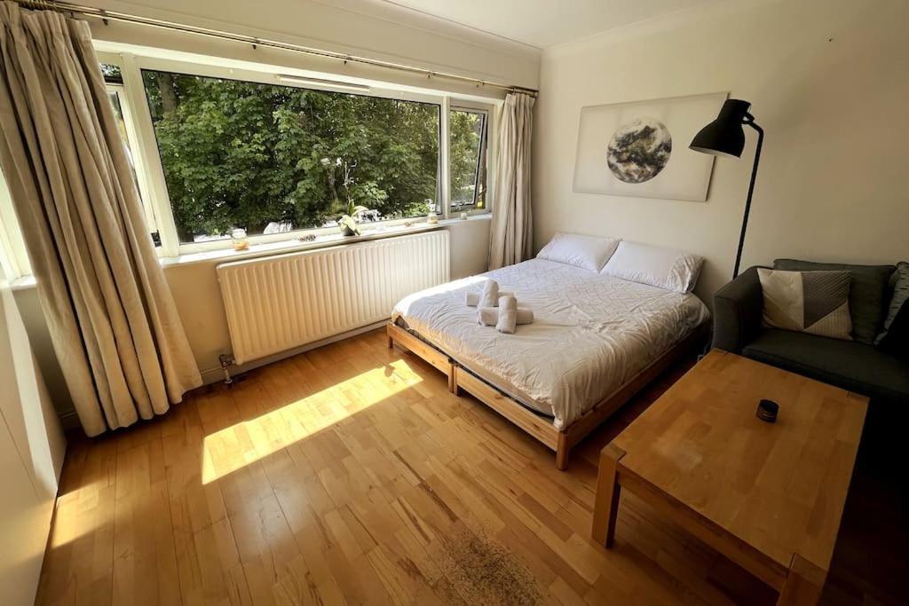 Peaceful Studio Apt W/2 Beds