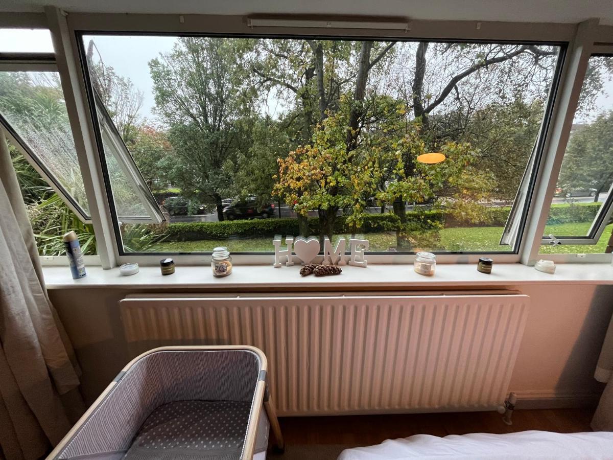 Peaceful Studio Apt W/2 Beds Apartment