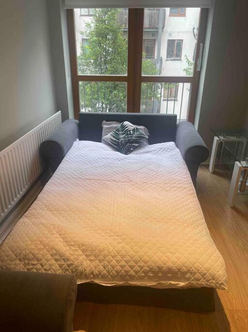 In Dublin's Tourist Spot Temple Bar Fully Renovated Appartement