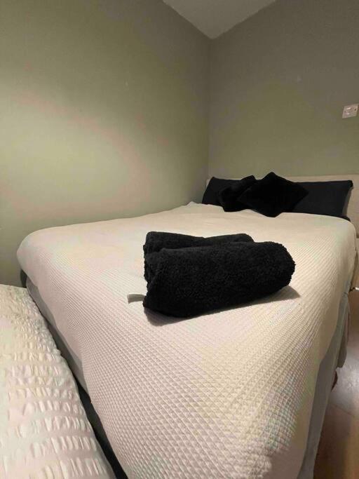 Appartement In Dublin's Tourist Spot Temple Bar Fully Renovated