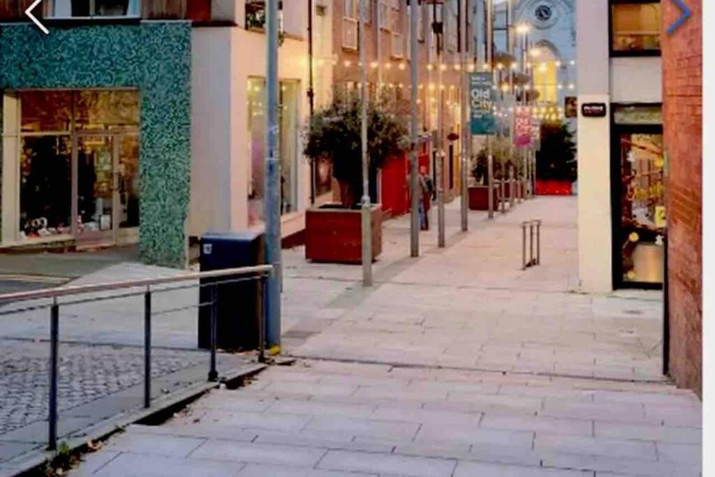 Appartement In Dublin's Tourist Spot Temple Bar Fully Renovated *