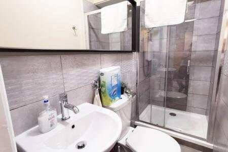 Apartment Great Location 1bed Off Oconnell St Dublin