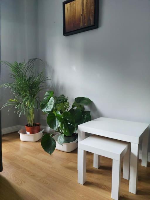 Apartment Spacious Centre - O'connell Street Area