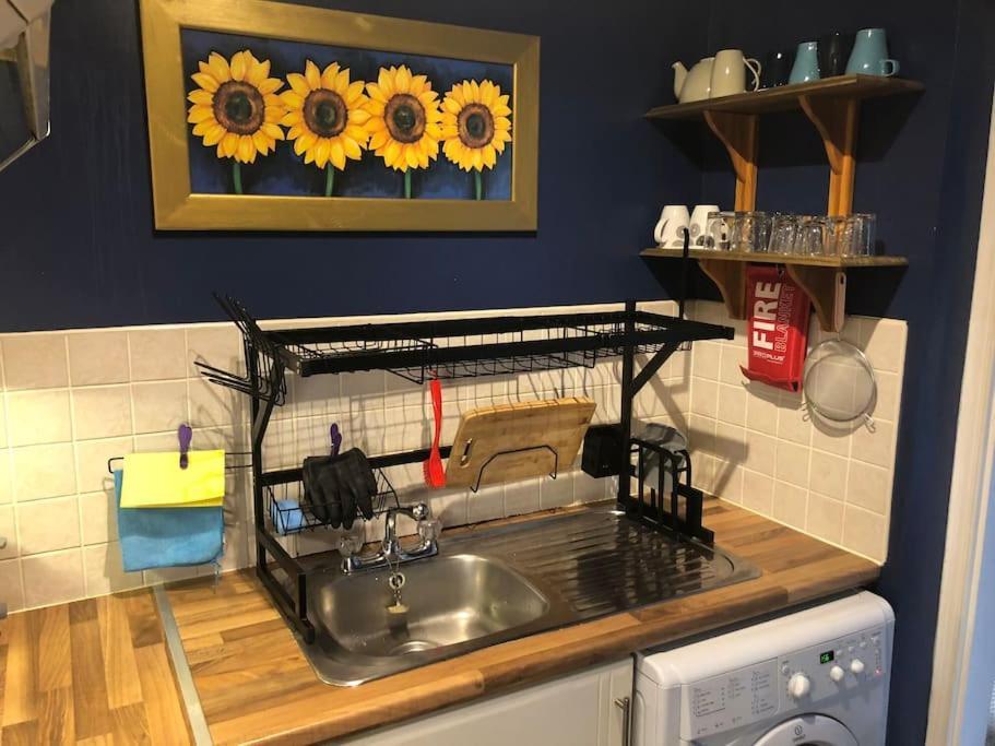 Charming Pheonix Parkside Flat * Dublin