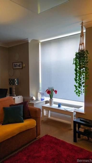 Charming Pheonix Parkside Flat Apartment *