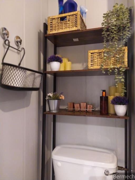 Charming Pheonix Parkside Flat