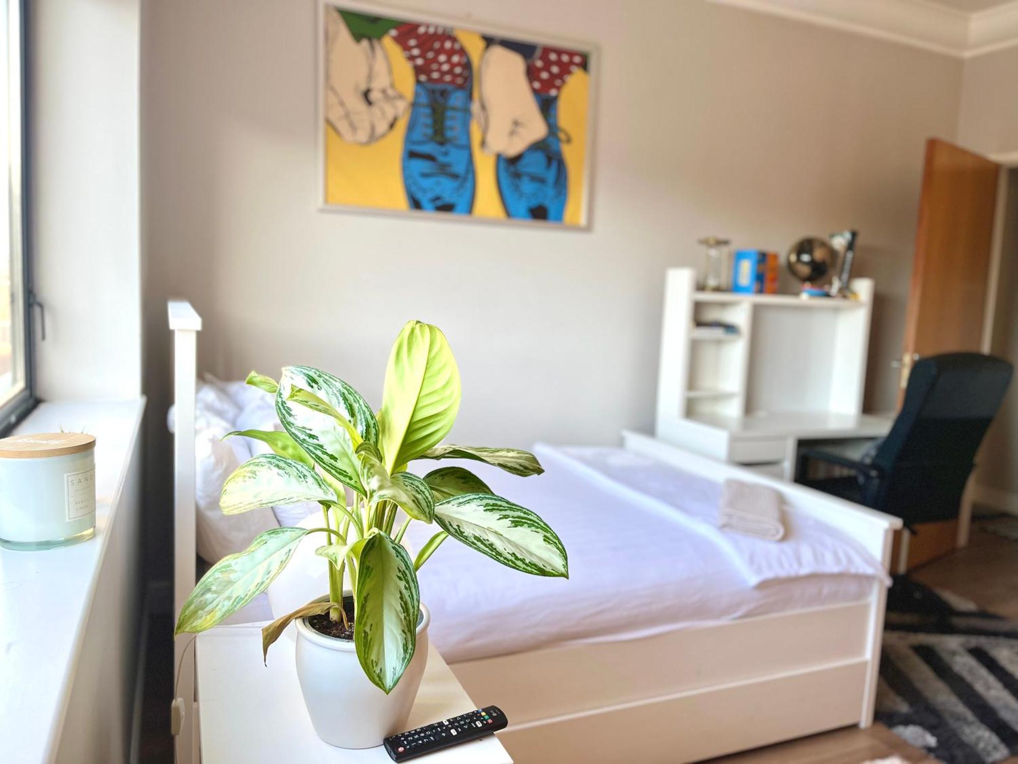 Homestay Ifsc Dublin