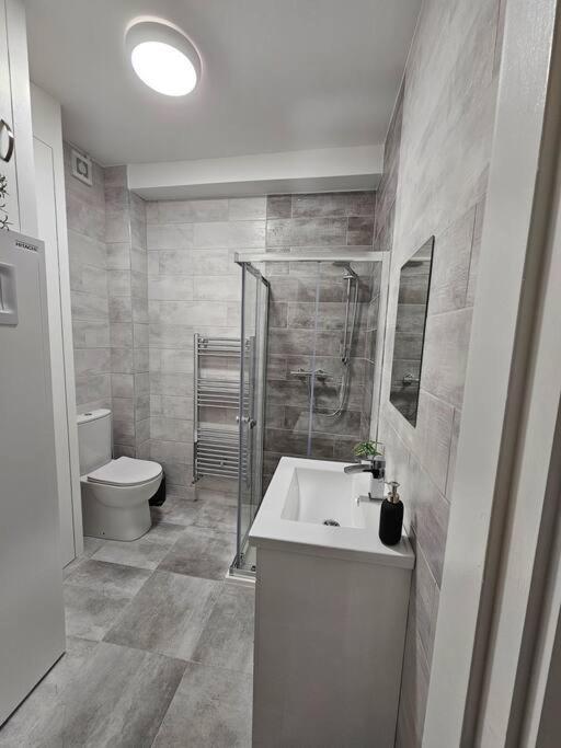 Apartment Spacious And Cosy House Dublin