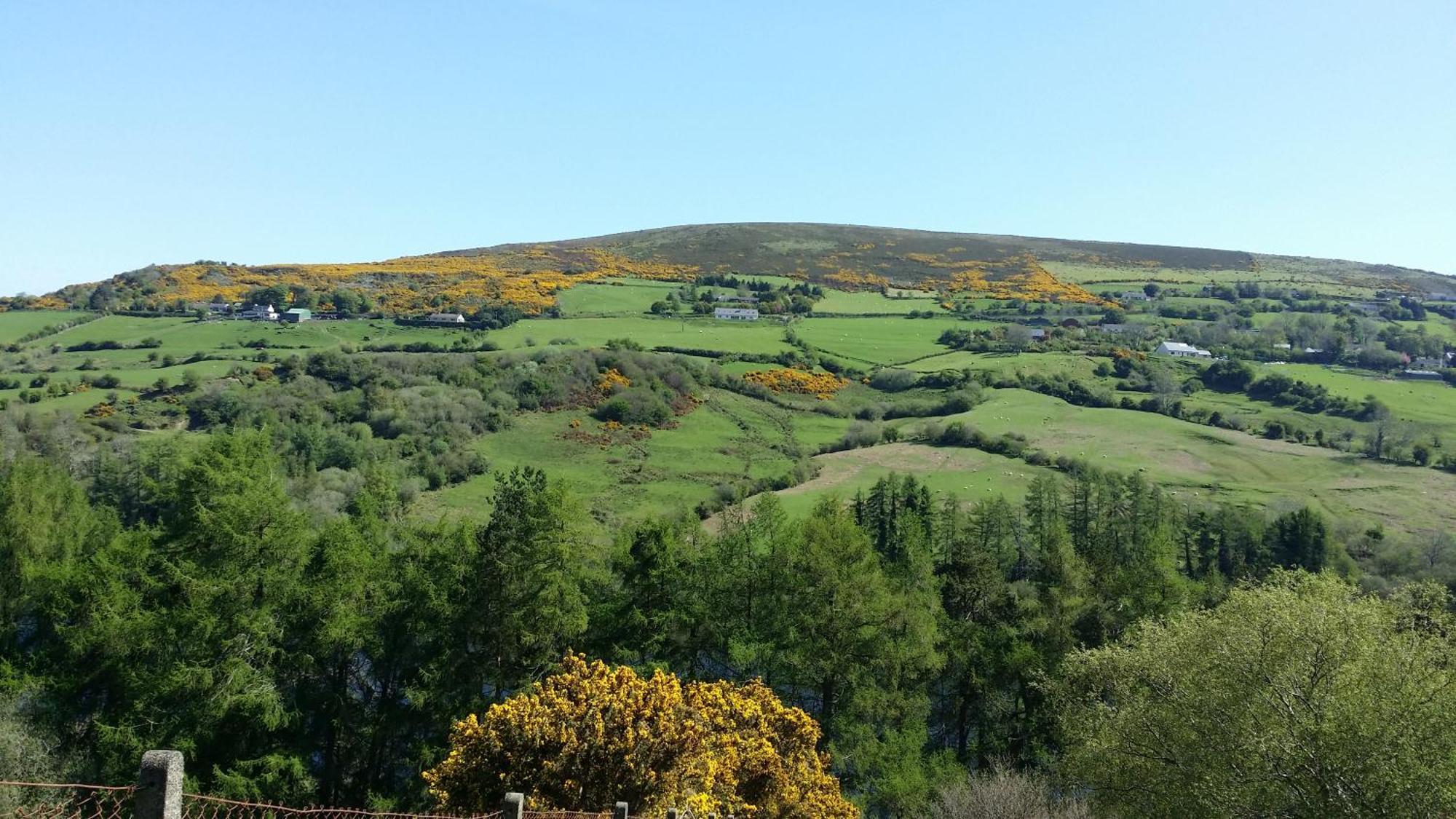 Barnoaks House - Private Ensuite Bathroom Homestay Dublin