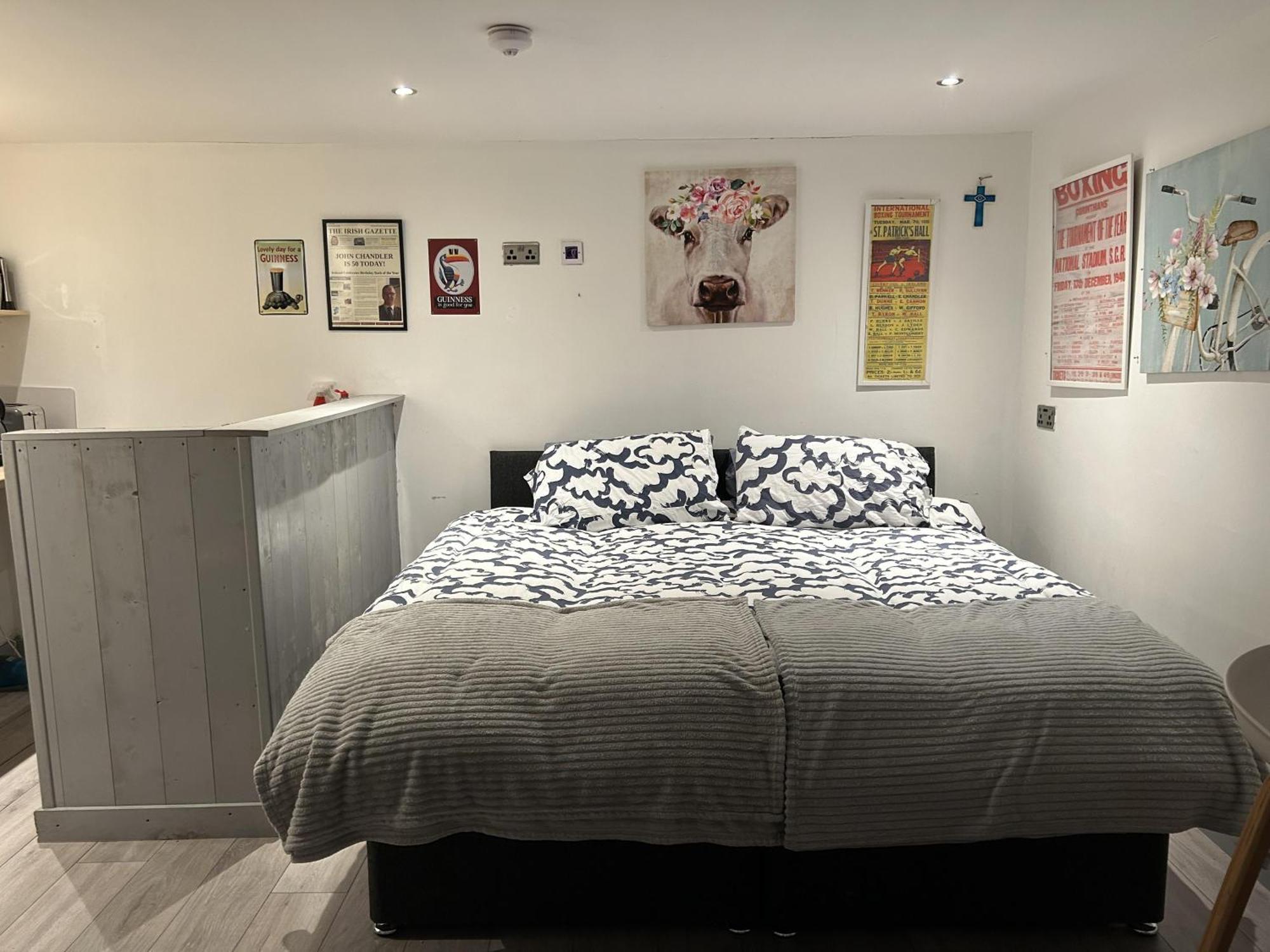 Cosy Open Plan In 11 2 Persons Dublin