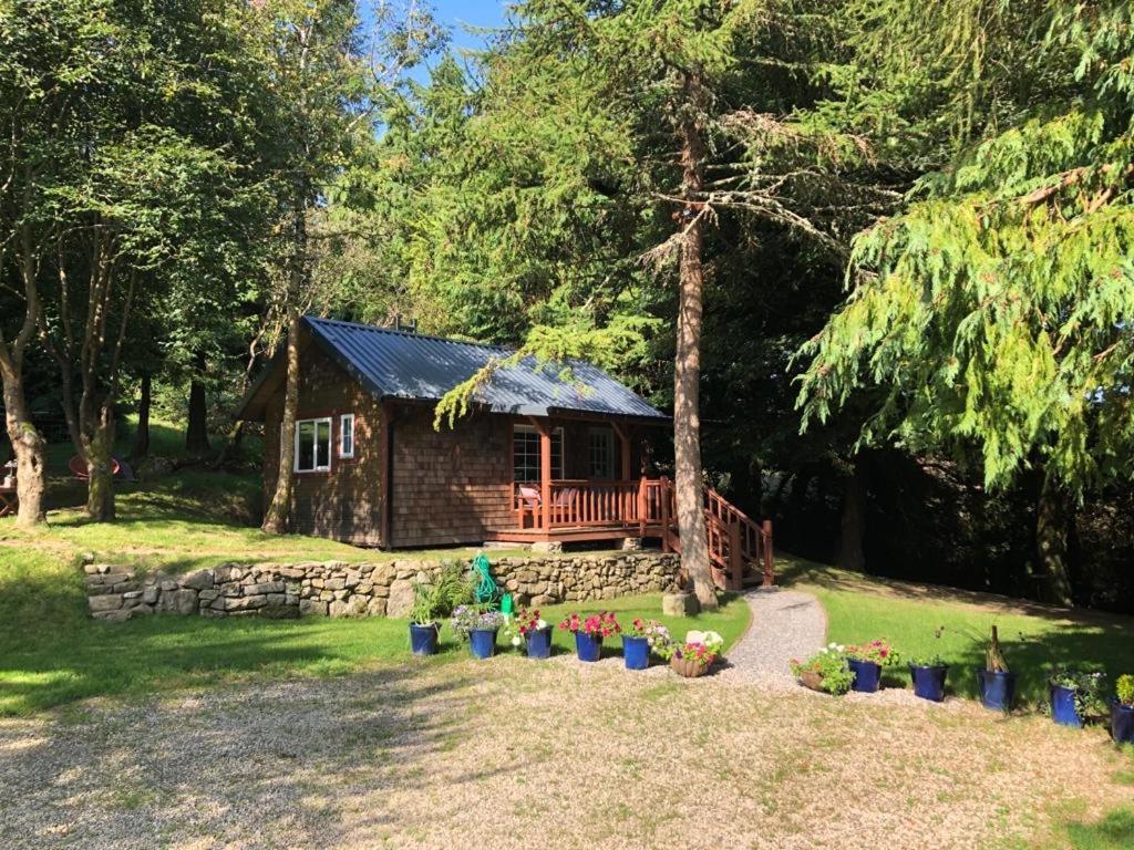 Lodge Willow *