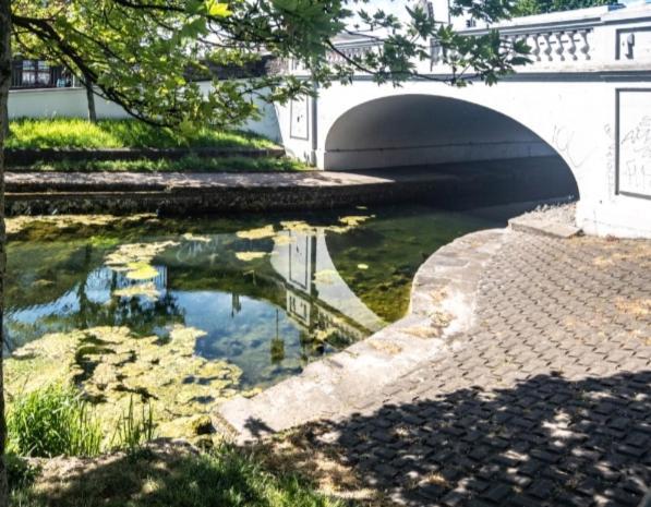 Canal Side Homestay Dublin