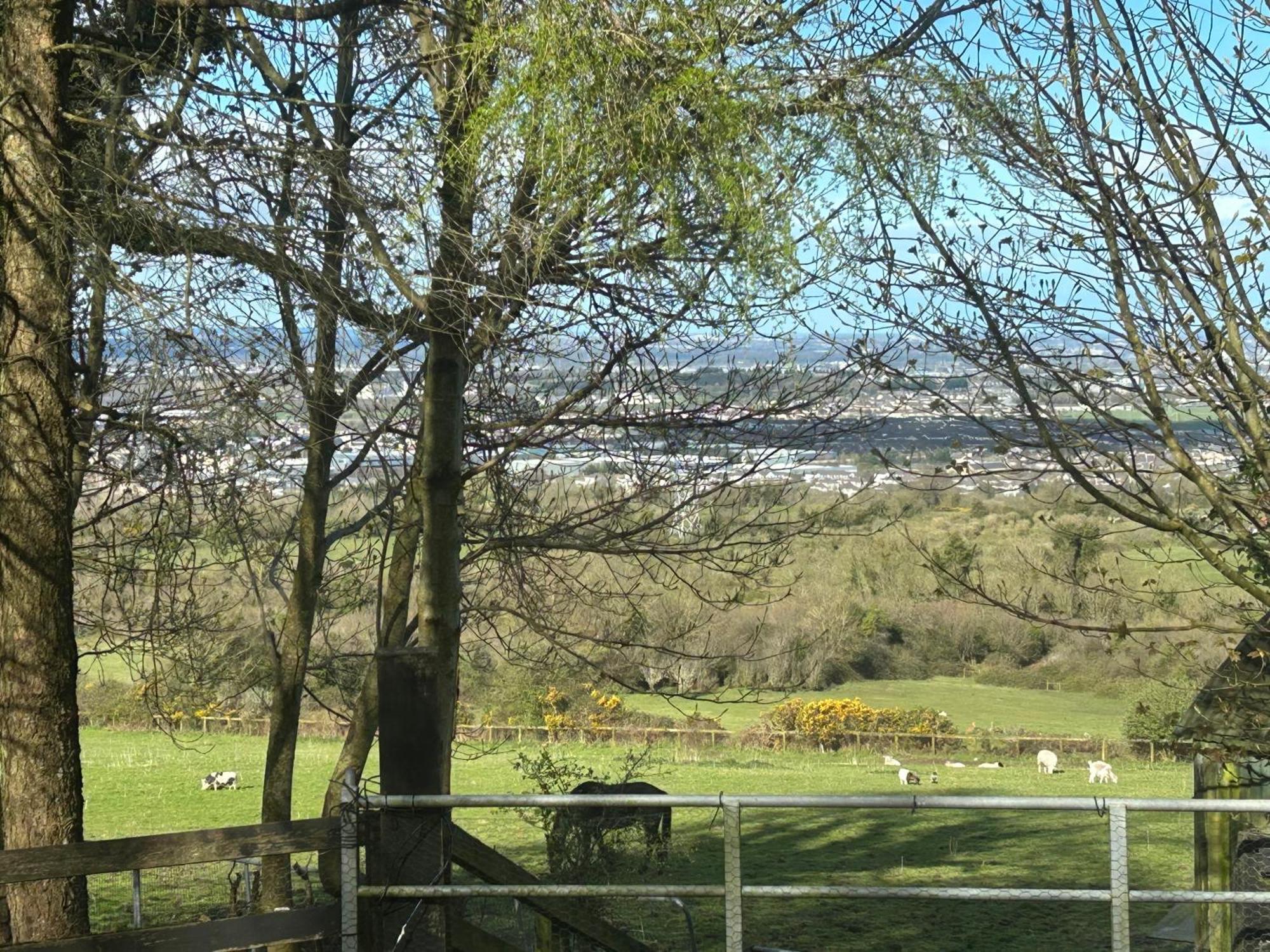 Country house Cozy In A Barn With Farm View Dublin