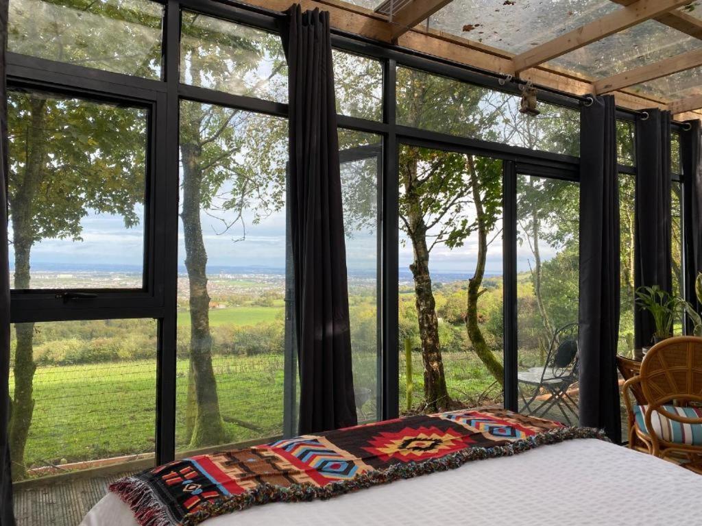 Sky Gazer In The Woods Holiday home