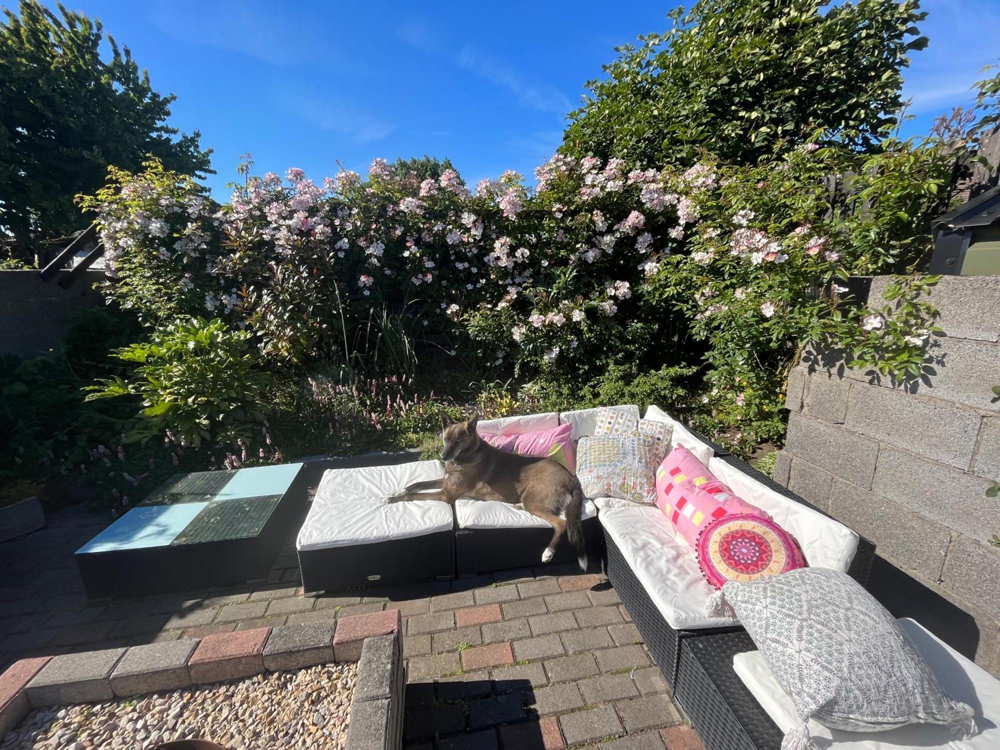 Townhouse Near City Centre Dublin